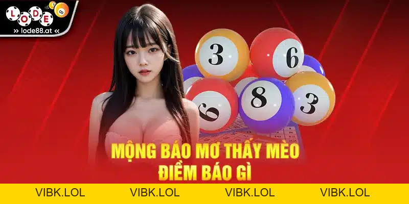 Mơ Thấy Mèo - Giải Mã Giấc Mơ Và Những Con Số May Mắn