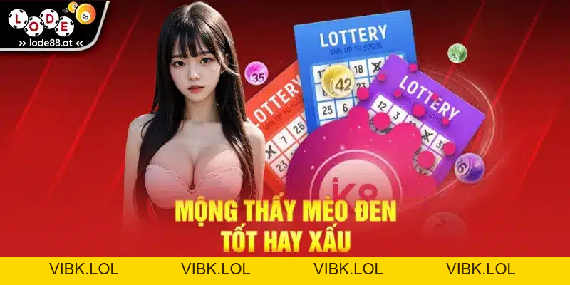 Mơ Thấy Mèo - Giải Mã Giấc Mơ Và Những Con Số May Mắn