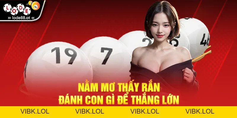 Nằm Mơ Thấy Rắn Đánh Con Gì? Ý Nghĩa Mang Đến May Mắn