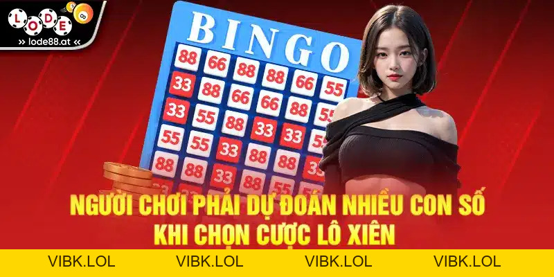 Các Loại Lô Đề Miền Bắc Mà Tân Thủ Cần Nắm