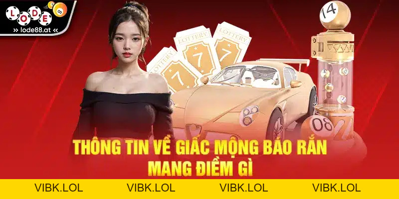 Nằm Mơ Thấy Rắn Đánh Con Gì? Ý Nghĩa Mang Đến May Mắn